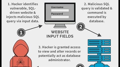 Seedlab assignment (SQL Injection)