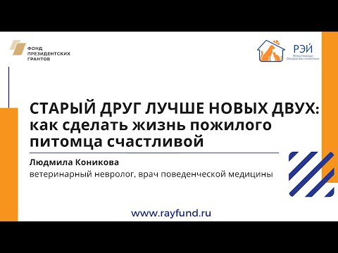 Видео: Исследования находят, что Doggy Paddling помогает совместным проблемам собак