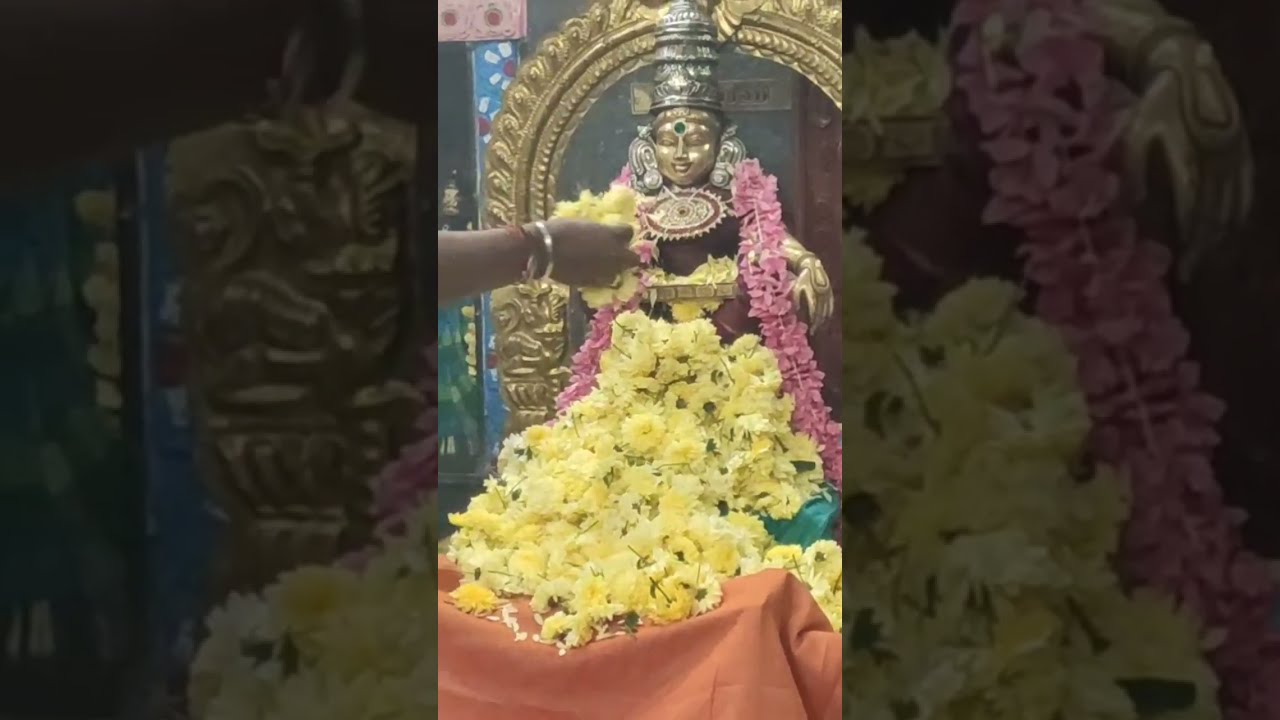 Day 5 - Magara Jyothi 2026 - Malar Poojai - 10/01/2026