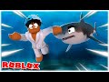 Roblox shark bite