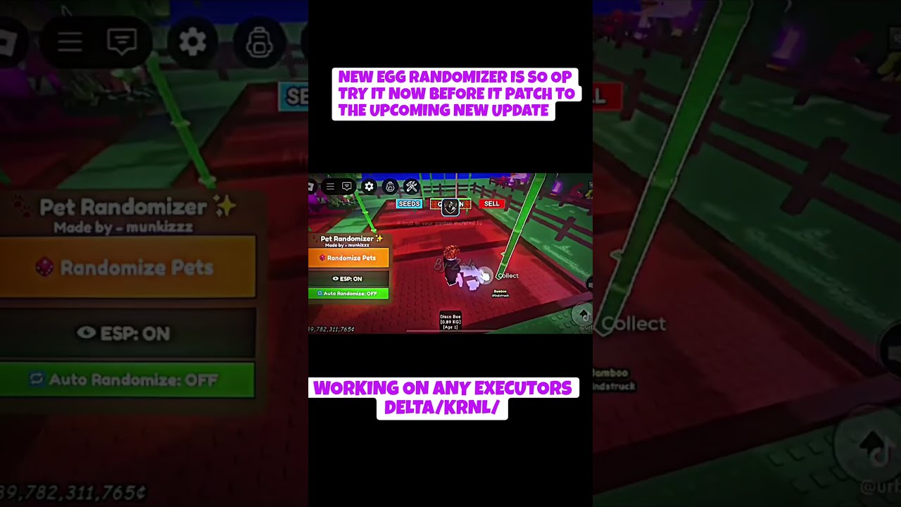 NEW EGG RANDOMIZER