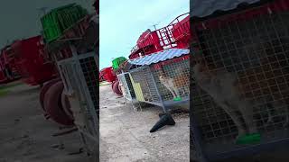 Revolutionizing Truck Imports  Easy Trade Africa's Smart Solutions