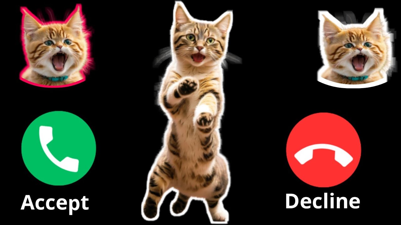🍎 Apple Ringtone iPhone pro ringtone catfunnycats iphone ! EP. 10