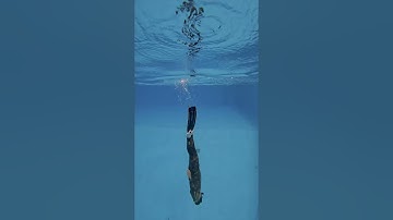 How to properly duck dive