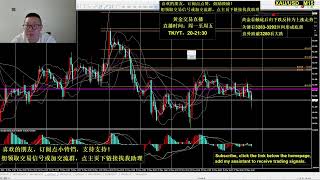 外汇交易直播 - 黄金外汇信号 - XAUUSD 外汇交易