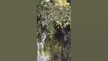 बेलपत्र के पेड़ के नीचे दिए का उपाय #youtube #upay #short #belpatra #diya #ghee #baate #tree #pradee