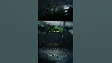 Baarish me🙈ZaraZara💓✨|| Monsoon🌧Whatsapp Status🌍|| Bombay Jayshree✨|| Rehna h tere dil m😇