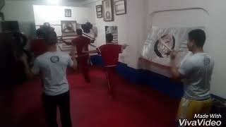 Basics of Arnis Nicolas System