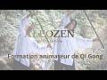 Formation Animateur Qi Gong – Notre parcours et notre vision de la transmission | ALEOZEN