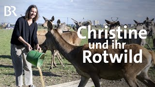 Wiese, Wild & Wald: BioLandwirtin Christine Huber liebt Rotwild und Kräuter | Landfrauenküche | BR