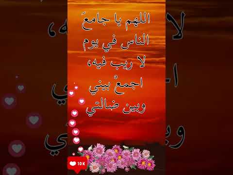اللهم يا جامع الناس في يوم لا ريب فيه اجمع بيني وبين ضالتي