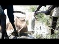 South Sudan war documentary: part one