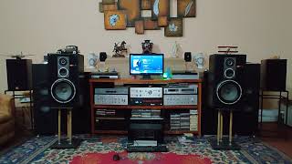 Susan Wong - Vincent