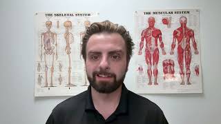 Debunking Cupping Massage Therapy – Does It Really Work? Details