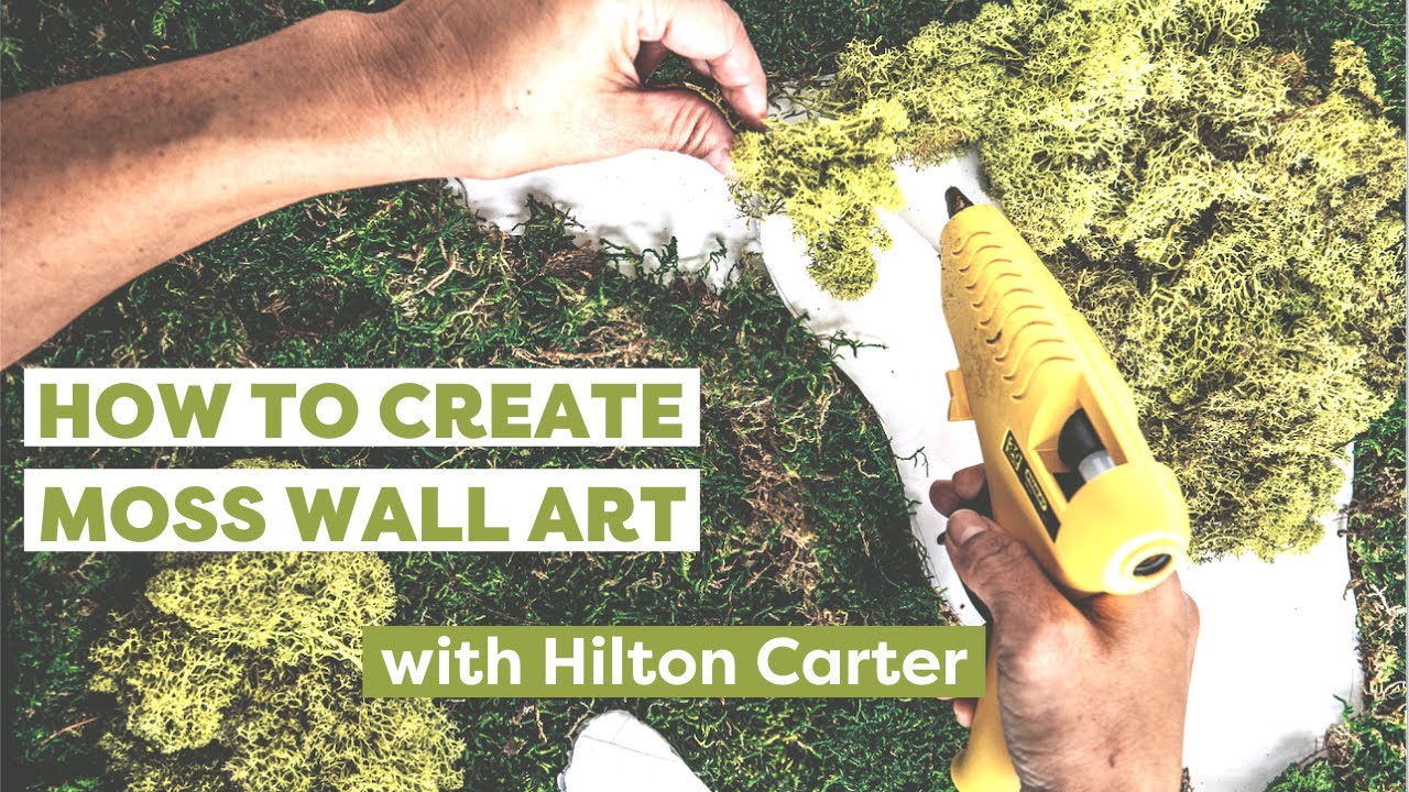 How to Make Moss Wall Art With Hilton Carter