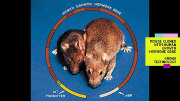 Cloning Vectors - Types & Characteristics  #rDNA #Cloning