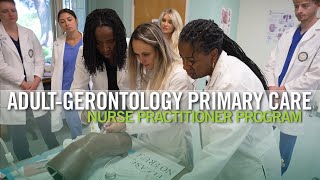 Adult-Gerontology Primary Care Nurse Pracioner Msn And Dnp Program Usf Health College Of Nursing