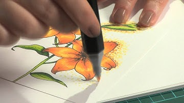 Spectrum Noir Intermediate DVD - Long Version