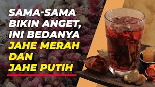 Jahe Merah & Jahe Putih Ternyata Punya Manfaat Masing-Masing Lho!