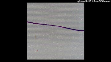 The Reference Assemblies - Tricoto Cirt