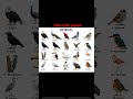 20 birds name #english #gk