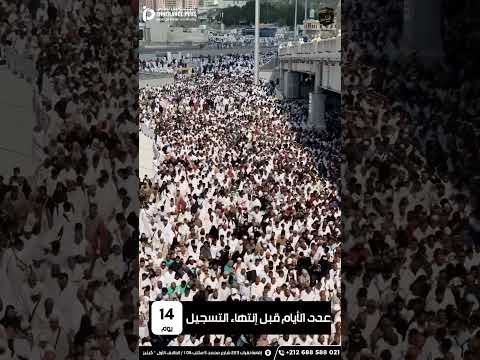 تبق ى 14 يوم ا على بداية التسجيل تنتهي عملية التسجيل الرسمي لموسم حج 1447 2026 بعد 14 يوم ا