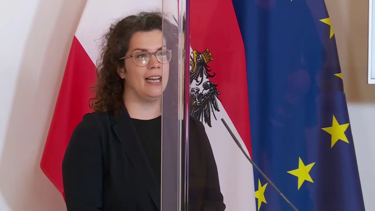 LIVE: Zweite Corona-Studie: Dunkelziffer sank deutlich | krone.at Pressekonferenz | Corona-Krise