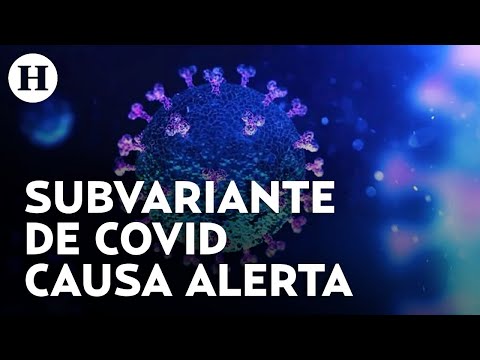 Covid 19 en México | Infectólogo advierte que subvariante está contagiando a EU y llegará a México