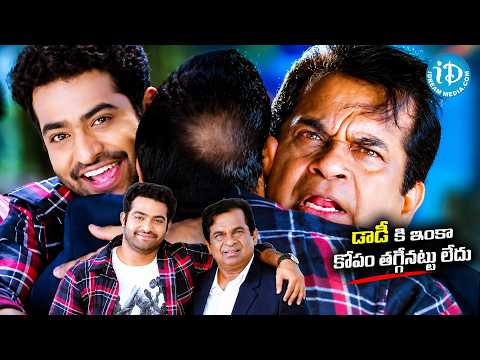 డాడీ కి ఇంకా కోపం తగ్గినట్టు లేదు | Brahmanandam & Jr Ntr Hilarious Comedy Scenes | iDream HD Movies