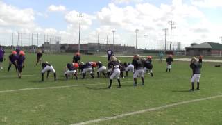 Scrimmage: Lions vs Mavericks