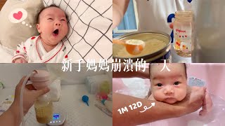 新手媽媽與新生兒崩潰的一天/👼🏻1M12D ♡ Dobie’s Vlog 29