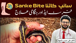 #Snake 🐍Bite Identify & Treat | Symptoms, Myths & #firstaid Essentials | سانپ کا کاٹنا