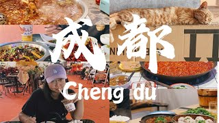 成都vlog丨火锅鱼跷脚牛肉把把烧好吃到蹦迪