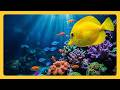 Relaxing Aquarium | Colorful Tropical Fish Tank Ambient Water Sounds | #FebFeatures