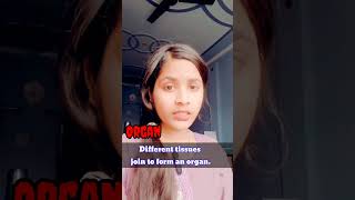 Cell To Organ System Explained Ncert Cl 9 To 11 Super Easy Biology Flow Niralamisscurious