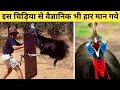 इन 10 चिड़ियों को देखकर वैज्ञानिक भी हैरान हैं | 10 Most Unique Birds