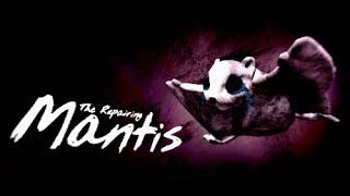 THE REPAIRING MANTIS by Erupting Avocado - Full Playthrough Ending 1 (No Commentary) Surreal Horror screenshot 2