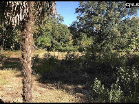 406 Lexington Avenue, Chapin, SC home video tour