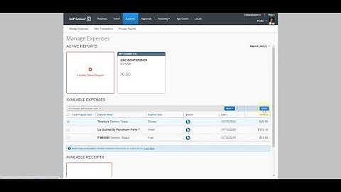 ExpenseIt on the desktop