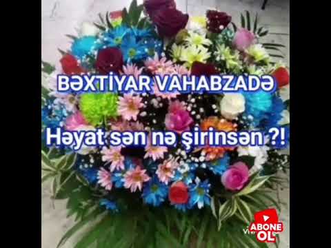 Bəxtiyar Vahabzadə - Həyat sən nə şirinsən