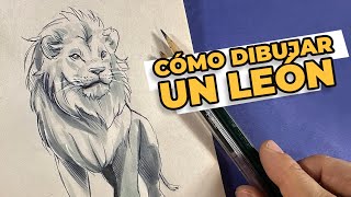 Cómo dibujar un León 🦁