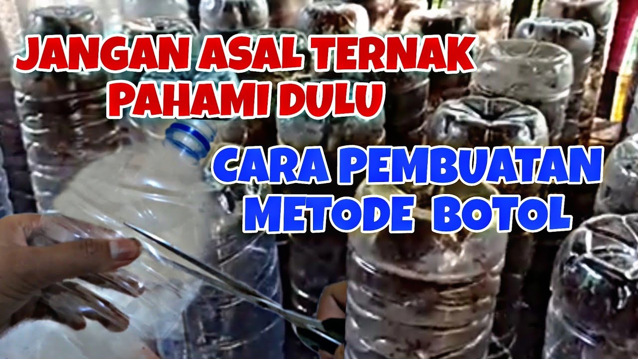 CARA MEMBUAT MEDIA BOTOL UNTUK BUDIDAYA KROTO