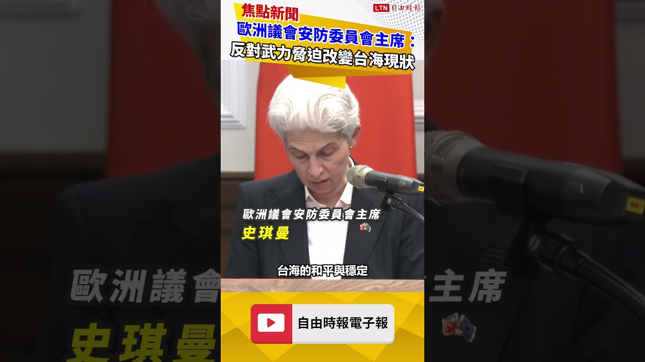 歐洲議會安防委員會主席：反對武力脅迫改變台海現狀
