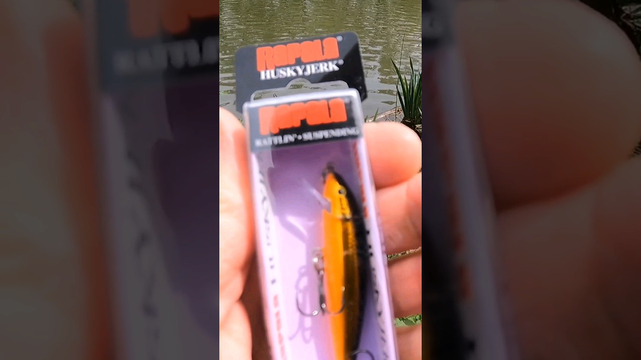 Rapala Husky Jerk Review #shortvideo #fishingvideo #relaxing #troutfishing