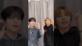 Yang Jeongin | Kim Seungmin | Tiktok Challenge