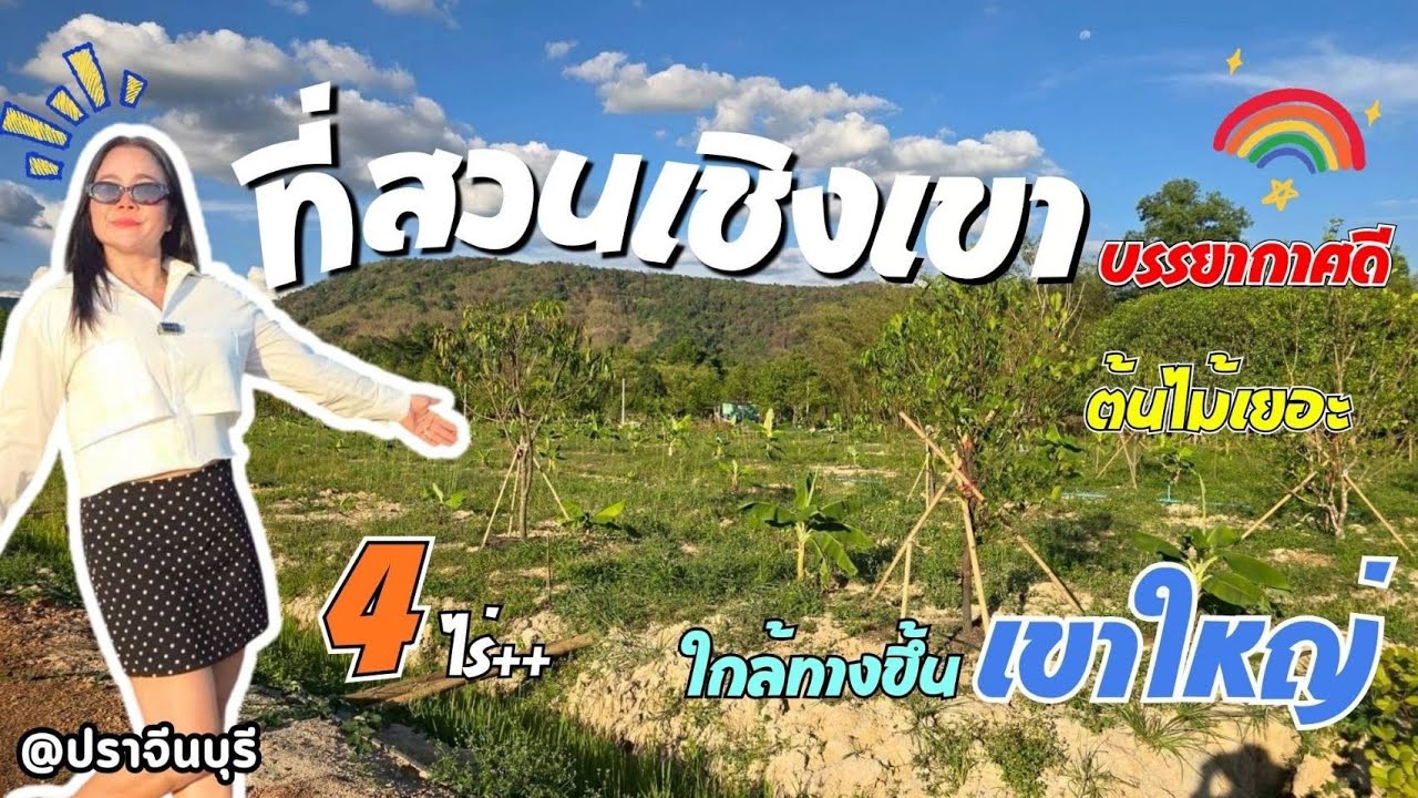 ที่สวนเชิงเขา บรรยากาศดี 🎋ต้นไม้เยอะ 4ไร่++ ใกล้ทางขึ้นเขาใหญ่