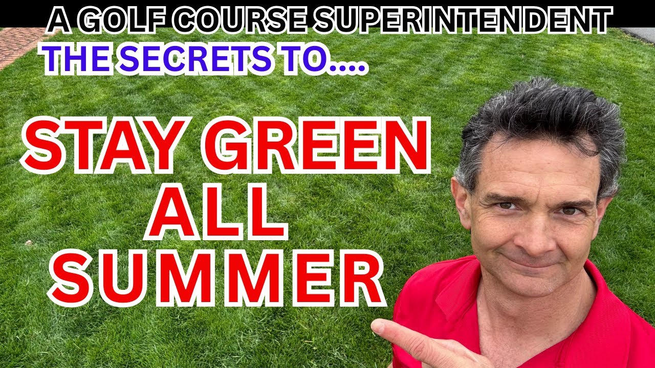 Summer Lawn Care: Pro Tips for a Perfect Lawn