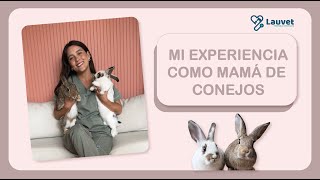 MI EXPERIENCIA TENIENDO CONEJOS - Lauvet