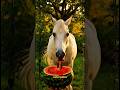 The Horse Who Grew Watermelons 🍉🐎 | A Beautiful Story About Kindness #shorts