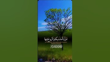 سورة القدر، حالات وتس أب